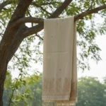 Shvetika Noor Handloom Shawl