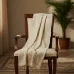 Shvetika Noor Handloom Shawl